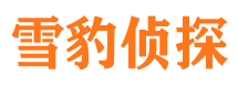 凌源外遇出轨调查取证